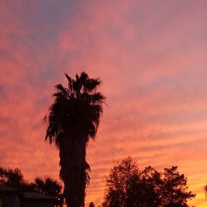 Meet your Posher, Sue